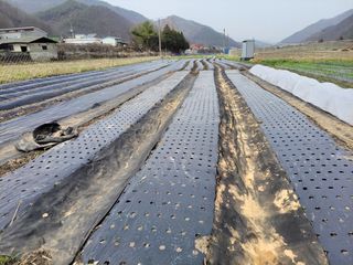 우영옥님의 자유주제 · 자유게시판 작성글 사진