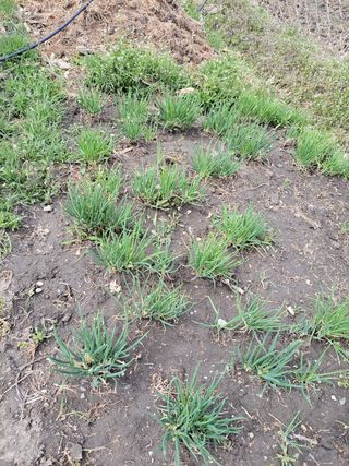 우영옥님의 자유주제 · 자유게시판 작성글 사진