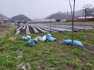 우영옥님의 자유주제 · 자유게시판 작성글 사진