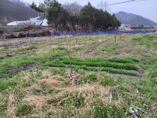 우영옥님의 자유주제 · 자유게시판 작성글 사진