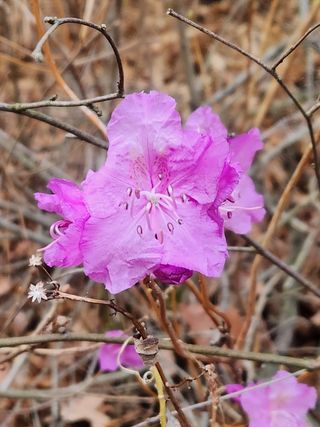 개울건너집님의 자유주제 · 사진전 작성글 사진