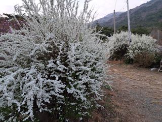 자연속 가라산 아래님의 자유주제 · 사진전 작성글 사진