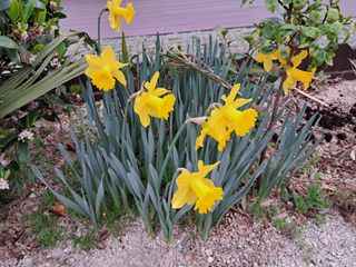 자연속 가라산 아래님의 자유주제 · 사진전 작성글 사진