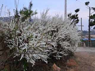 자연속 가라산 아래님의 자유주제 · 사진전 작성글 사진