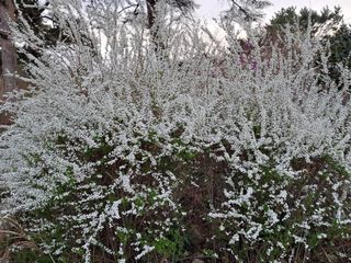 자연속 가라산 아래님의 자유주제 · 사진전 작성글 사진