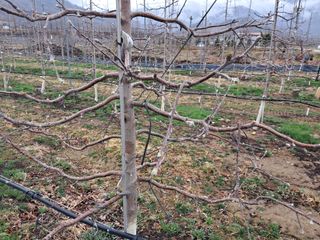 아침엔사과농원님의 자유주제 · 자유게시판 작성글 사진