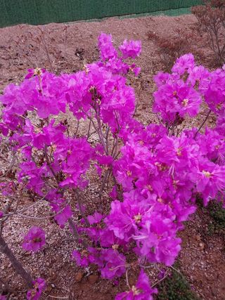 김동주님의 자유주제 · 자유게시판 작성글 사진