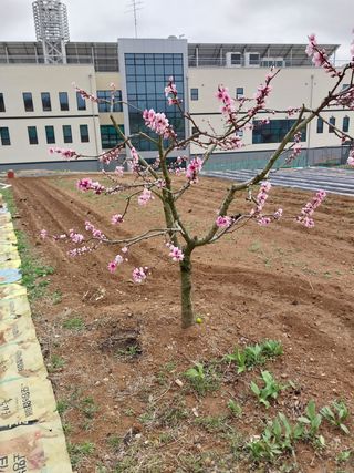 김동주님의 자유주제 · 자유게시판 작성글 사진