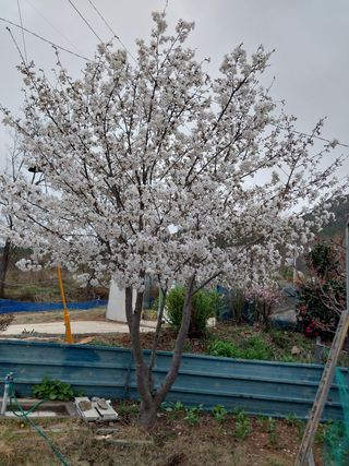 김동주님의 자유주제 · 자유게시판 작성글 사진