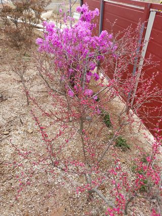 김동주님의 자유주제 · 자유게시판 작성글 사진