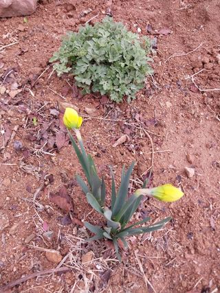 김동주님의 자유주제 · 자유게시판 작성글 사진