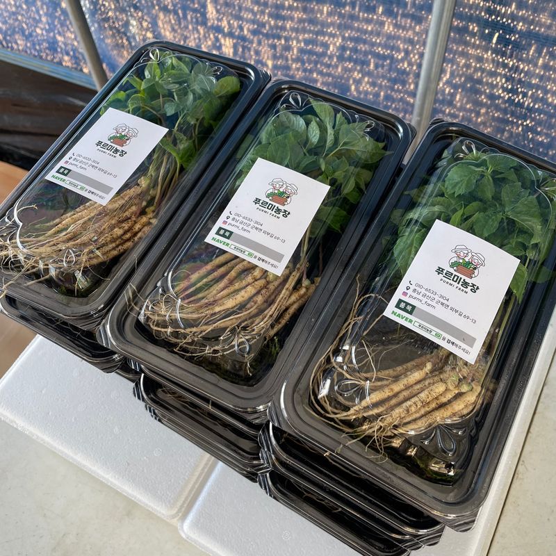 장터 상품 [푸르미농장 새싹삼] 썸네일