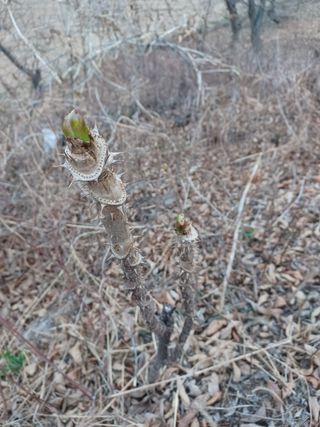 알 수 없음님의 기타작물 · 자유게시판 작성글 사진