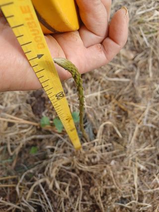 알 수 없음님의 기타작물 · 자유게시판 작성글 사진