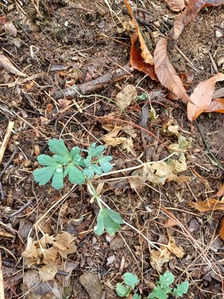 알 수 없음님의 기타작물 · 자유게시판 작성글 사진