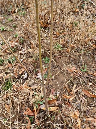 알 수 없음님의 기타작물 · 자유게시판 작성글 사진