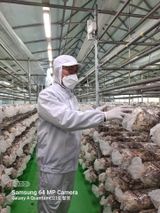 팜모닝 자유주제·사진전 게시글 이미지