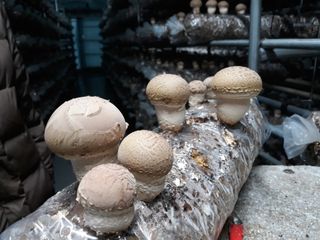 이학봉님의 자유주제 · 사진전 작성글 사진