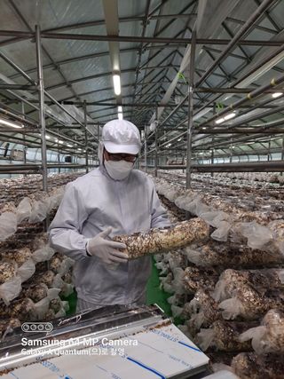 이학봉님의 자유주제 · 사진전 작성글 사진