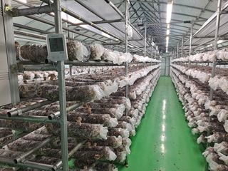 이학봉님의 자유주제 · 사진전 작성글 사진