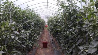 최복용(고추)님의 자유주제 · 사진전 작성글 사진