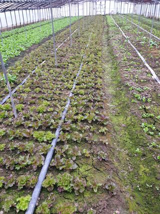 김화연님의 기타작물 · 자유게시판 작성글 사진