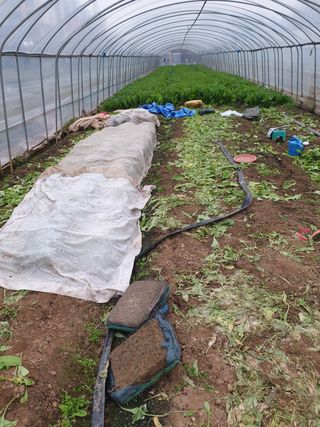 김화연님의 기타작물 · 자유게시판 작성글 사진