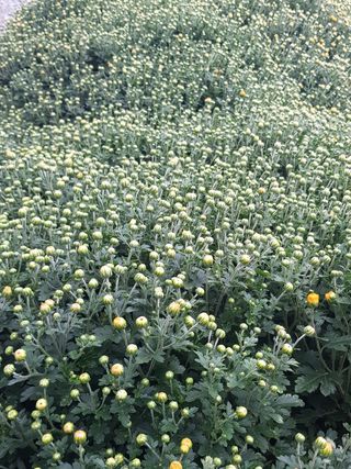 정주님의 자유주제 · 사진전 작성글 사진