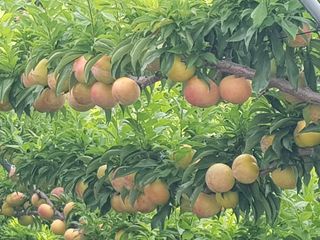 정주님의 자유주제 · 사진전 작성글 사진