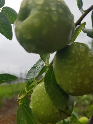 정주님의 자유주제 · 사진전 작성글 사진