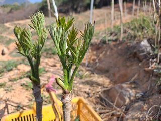 유근승님의 자유주제 · 자유게시판 작성글 사진