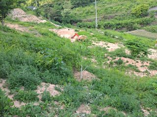 유근승님의 자유주제 · 자유게시판 작성글 사진