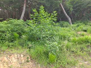 유근승님의 자유주제 · 자유게시판 작성글 사진