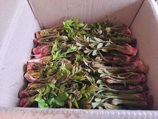 유근승님의 자유주제 · 자유게시판 작성글 사진