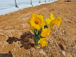 유근승님의 자유주제 · 자유게시판 작성글 사진