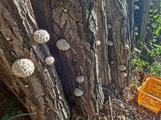 유근승님의 자유주제 · 자유게시판 작성글 사진