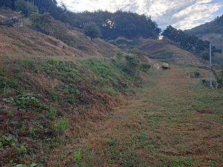 유근승님의 자유주제 · 자유게시판 작성글 사진