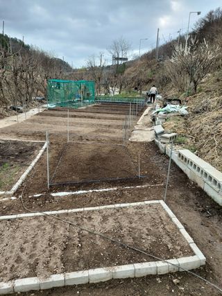 김동구님의 자유주제 · 사진전 작성글 사진