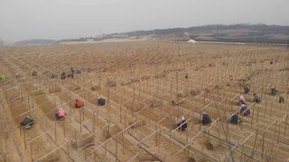 PERSEUSH님의 기타작물 · 자유게시판 작성글 사진