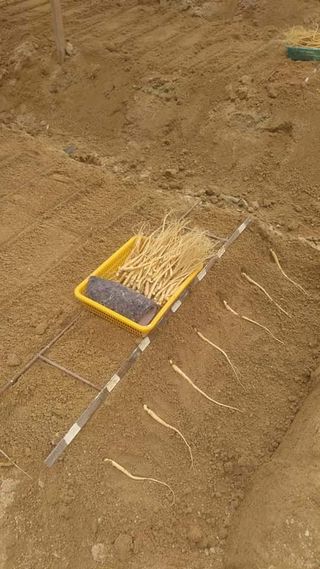 PERSEUSH님의 기타작물 · 자유게시판 작성글 사진