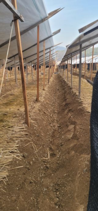 PERSEUSH님의 기타작물 · 자유게시판 작성글 사진