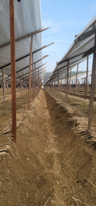 PERSEUSH님의 기타작물 · 자유게시판 작성글 사진