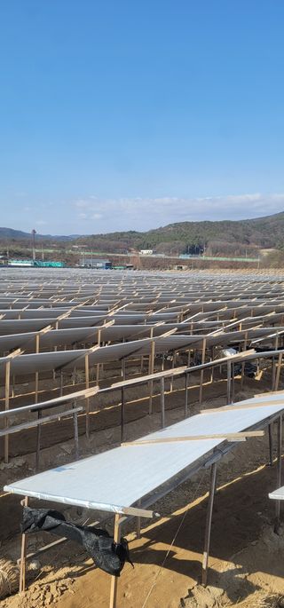 PERSEUSH님의 기타작물 · 자유게시판 작성글 사진