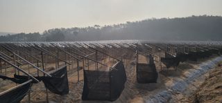 PERSEUSH님의 기타작물 · 자유게시판 작성글 사진