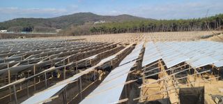 PERSEUSH님의 기타작물 · 자유게시판 작성글 사진