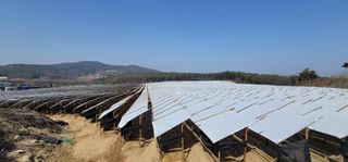 PERSEUSH님의 기타작물 · 자유게시판 작성글 사진