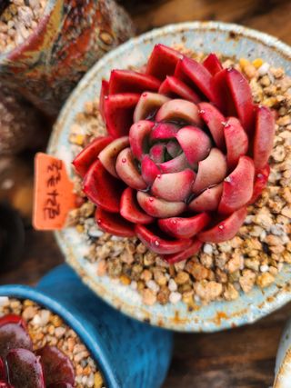 이연옥님의 기타작물 · 자유게시판 작성글 사진