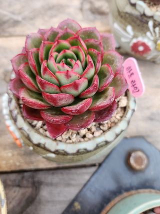 이연옥님의 기타작물 · 자유게시판 작성글 사진