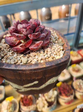 이연옥님의 기타작물 · 자유게시판 작성글 사진