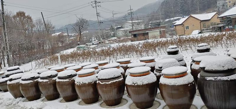 김경순님의 장터 판매 상품 [3년숙성된 된장 찹쌀매실고추장 청국장 집간장 판매] 첨부 사진